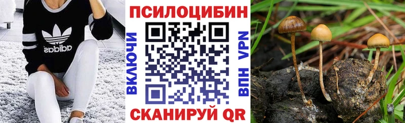 Псилоцибиновые грибы Magic Shrooms Тольятти